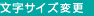 文字サイズの変更