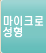 마이크로 성형