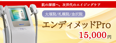 エンディメッドPro