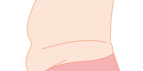 お腹