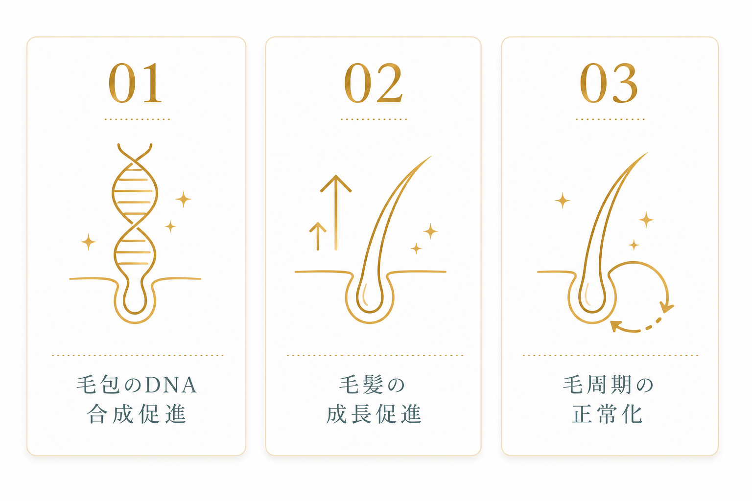成長因子が髪を再生