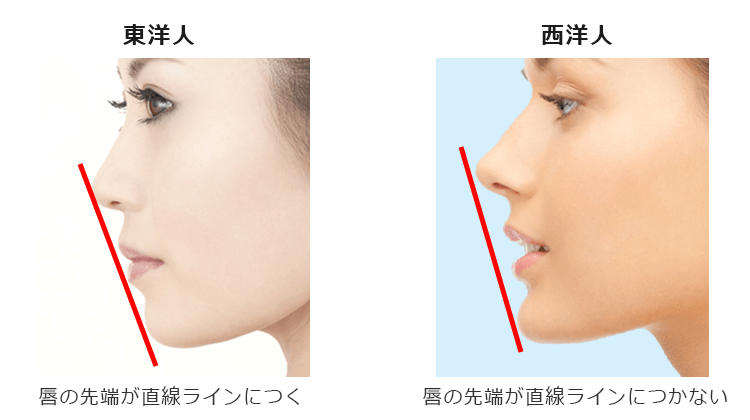 日本人の理想のEライン