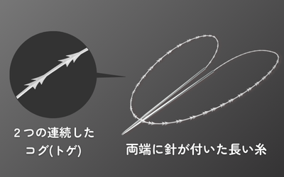 首周りのたるみは「アンカーDXダブル」でリフトアップ