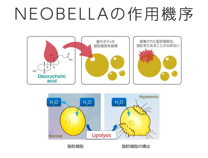 ネオベラの作用機序