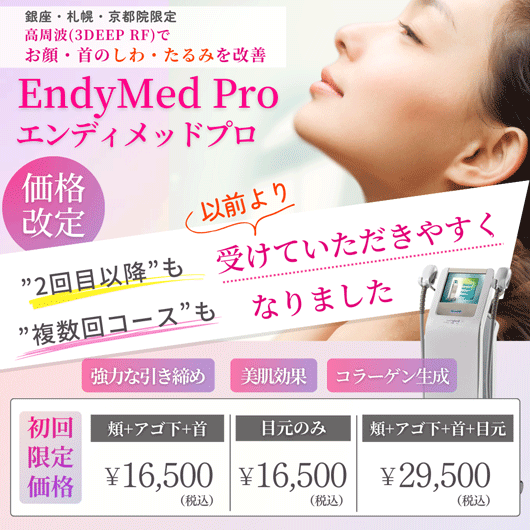 エンディメッドプロ 価格改定