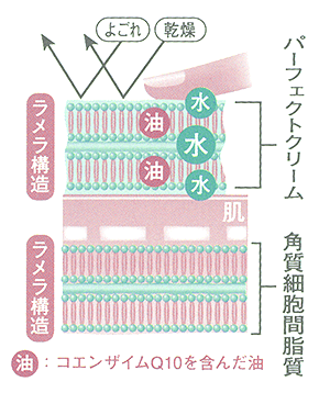 パーフェクトクリーム（クリーム）