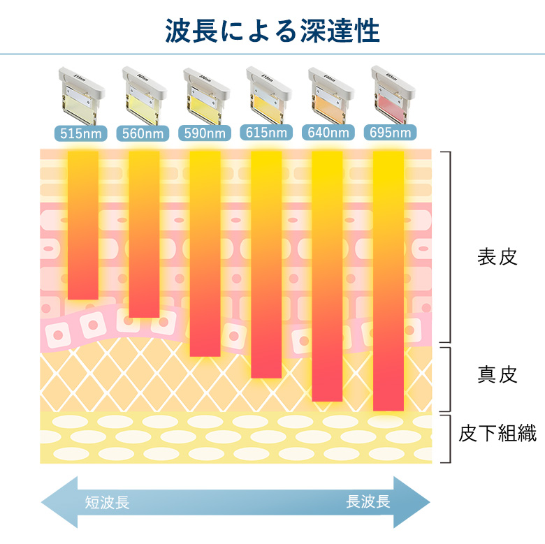 6種類の波長フィルター