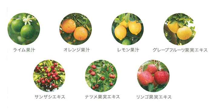 7種類の植物由来の角質ケア成分