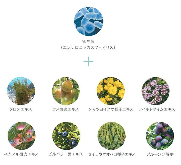 乳酸菌+8種の天然由来成分