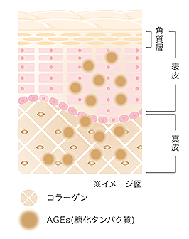 糖化が進むと