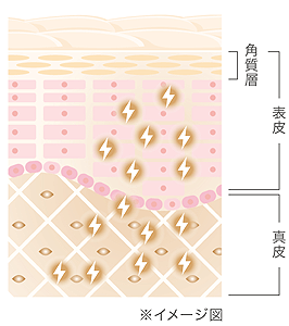 からだの糖化対策