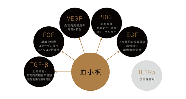 VFD毛髪再生治療 成長因子