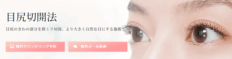 目尻切開法